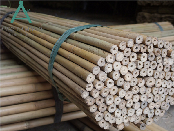 3 Diameter Bamboo Poles